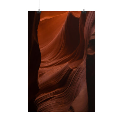 Antelope 01 - Rolled Poster