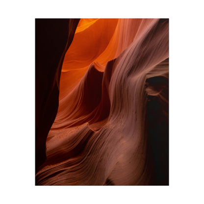 Antelope 04 - Rolled Poster