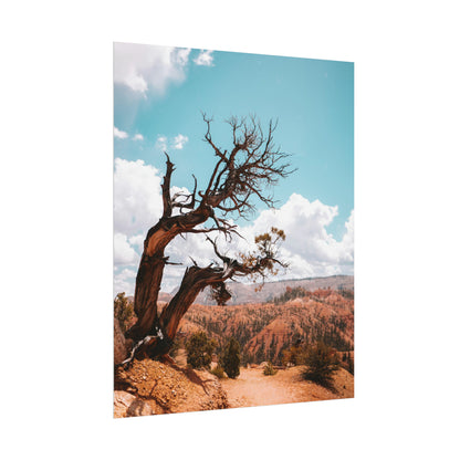 Bryce Canyon 02 - Rolled Poster