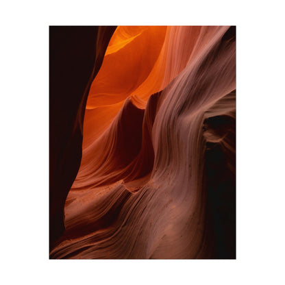 Antelope 04 - Rolled Poster