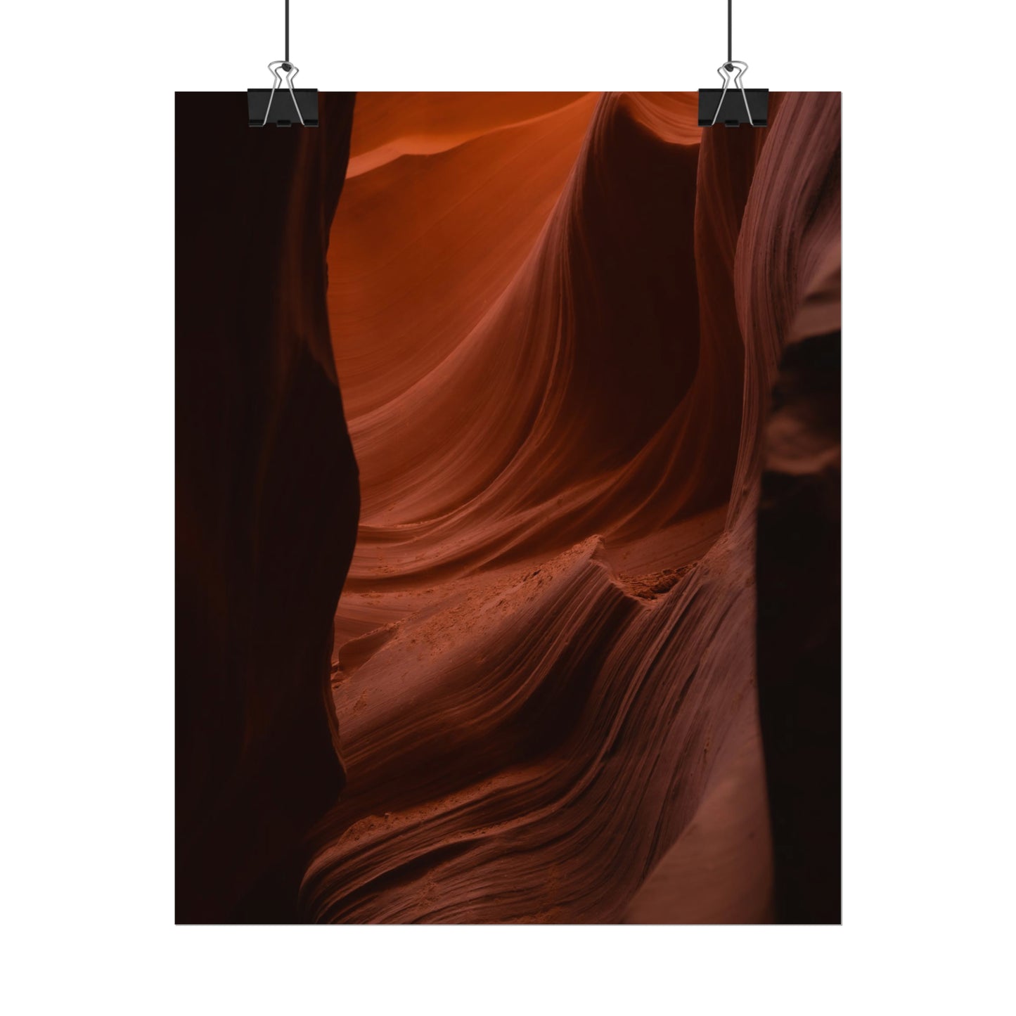 Antelope 01 - Rolled Poster