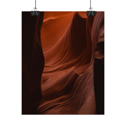 Antelope 01 - Rolled Poster