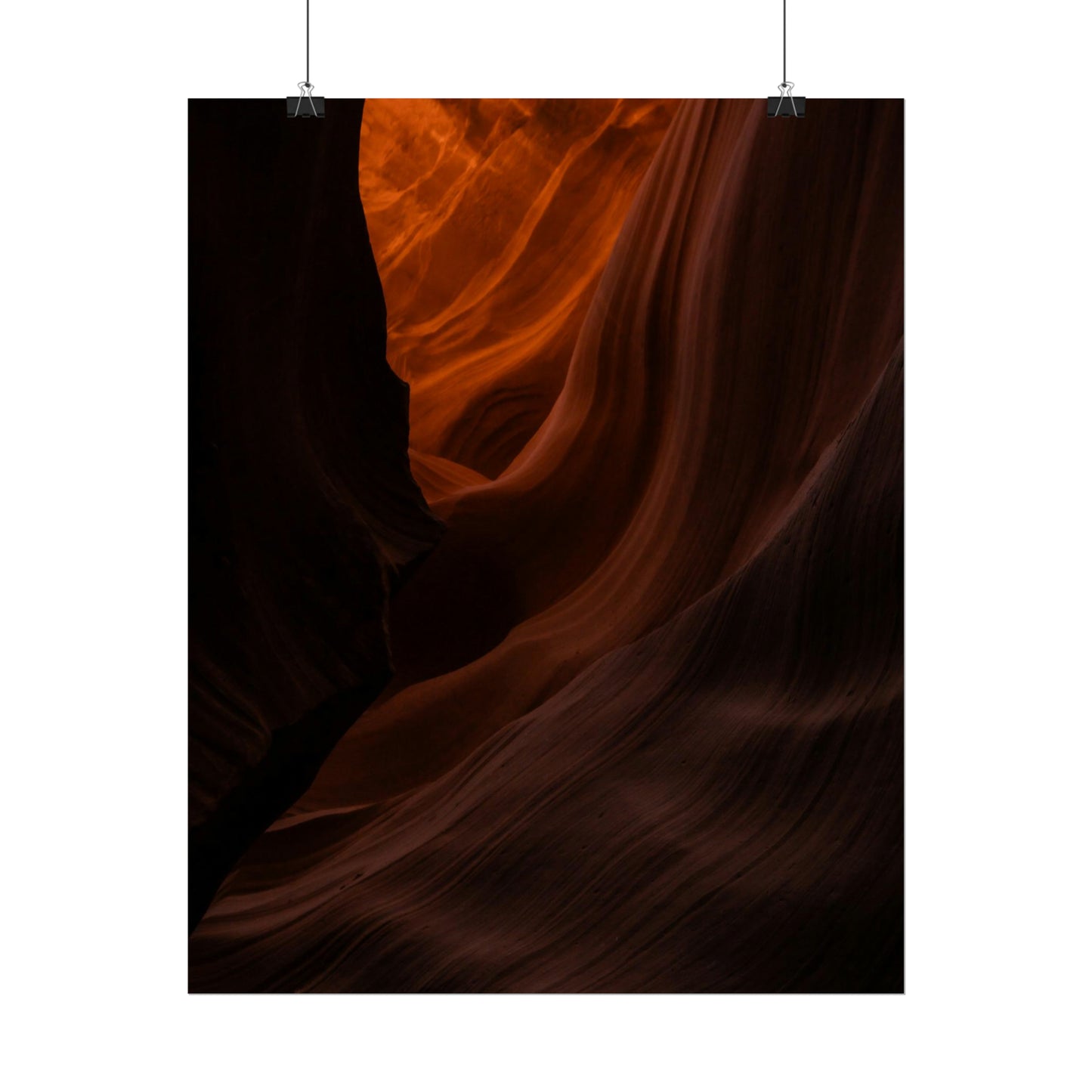 Antelope 03 - Rolled Poster