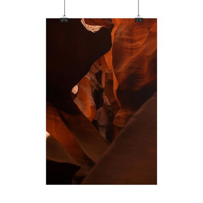 Antelope 05 - Rolled Poster