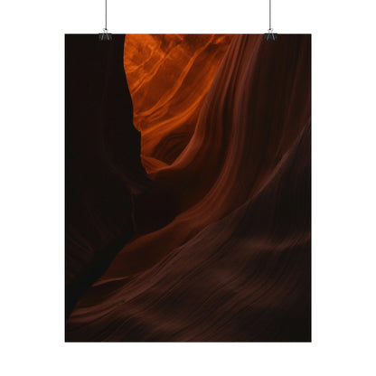Antelope 03 - Rolled Poster