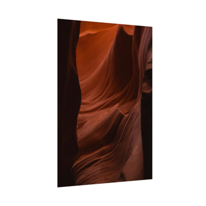 Antelope 01 - Rolled Poster