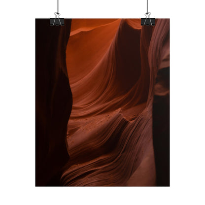 Antelope 01 - Rolled Poster