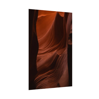 Antelope 01 - Rolled Poster