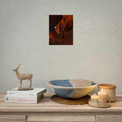 Antelope 05 - Rolled Poster