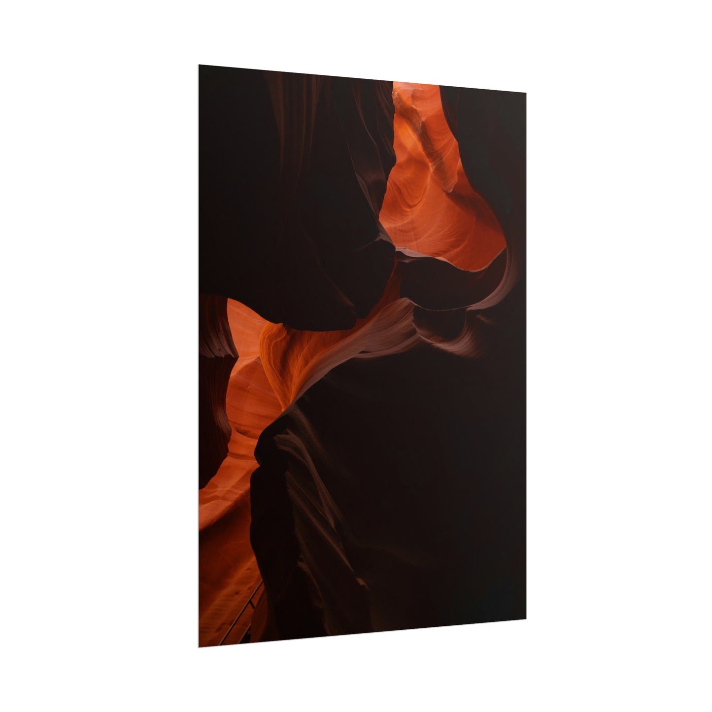 Antelope 08 - Rolled Poster