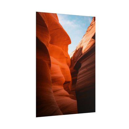 Antelope 06 - Rolled Poster