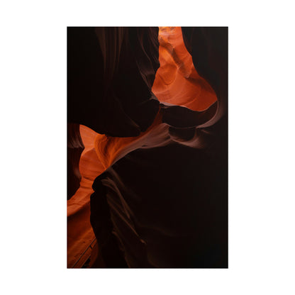 Antelope 08 - Rolled Poster