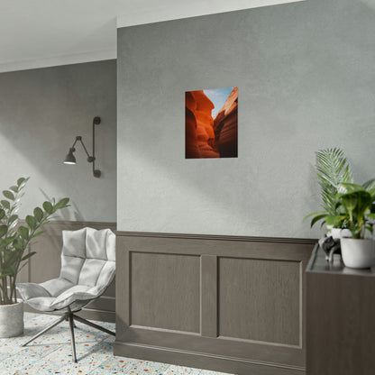 Antelope 06 - Rolled Poster