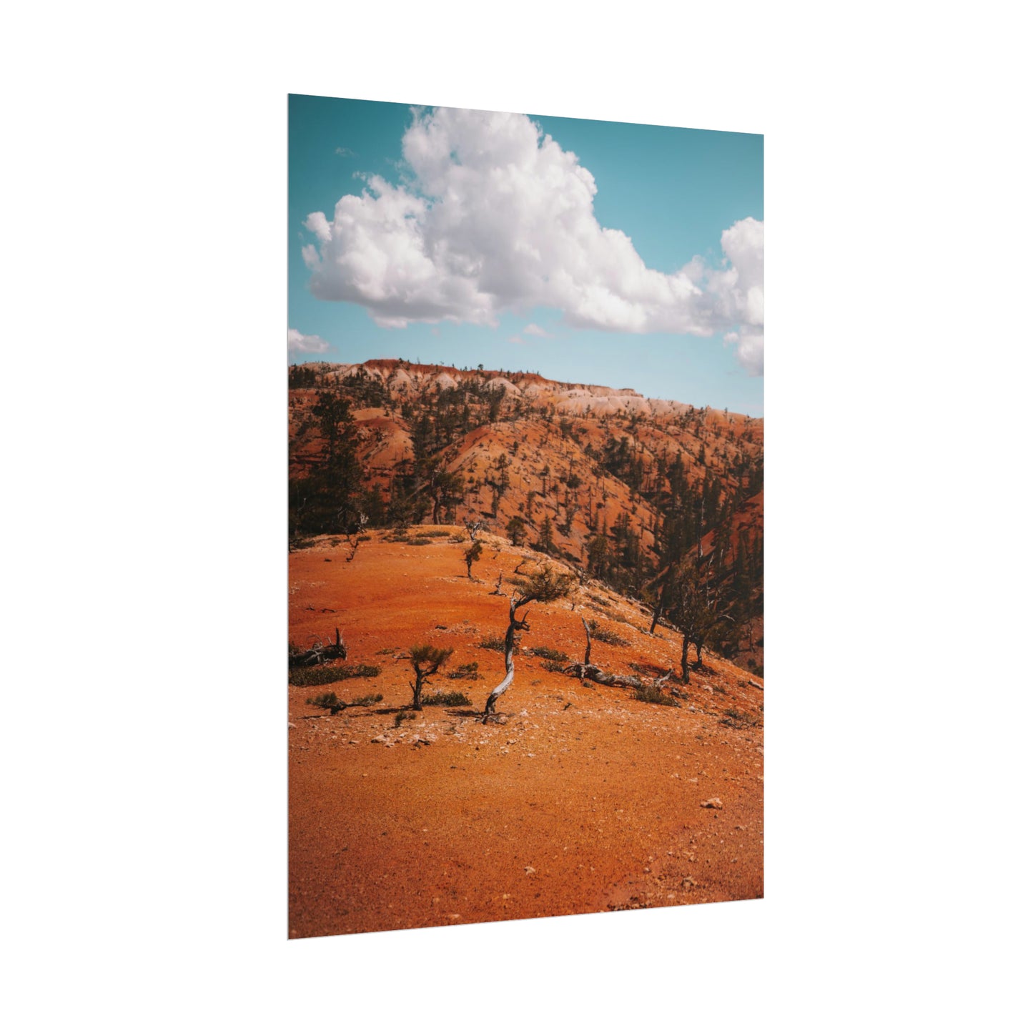 Bryce Canyon 01 - Rolled Poster
