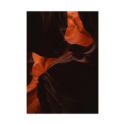 Antelope 08 - Rolled Poster