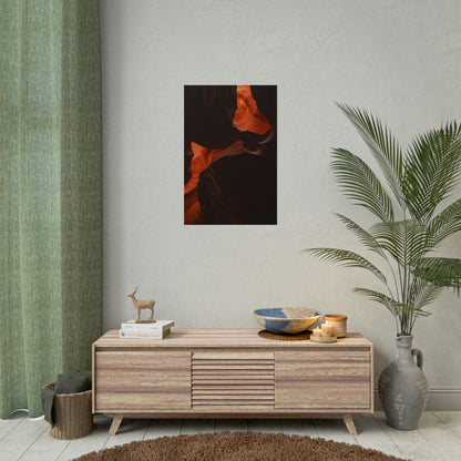 Antelope 08 - Rolled Poster