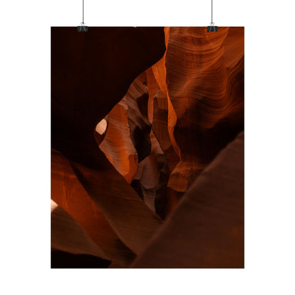 Antelope 05 - Rolled Poster