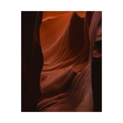 Antelope 01 - Rolled Poster