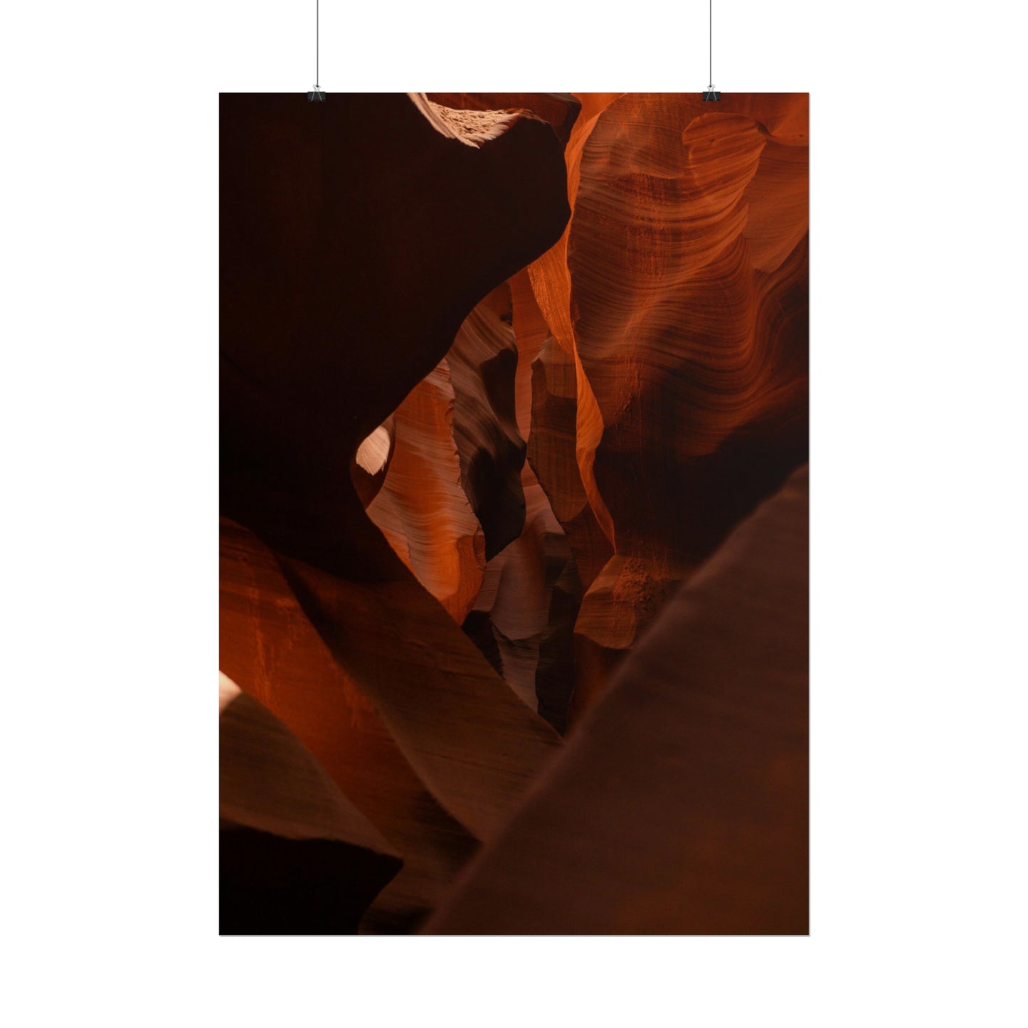 Antelope 05 - Rolled Poster