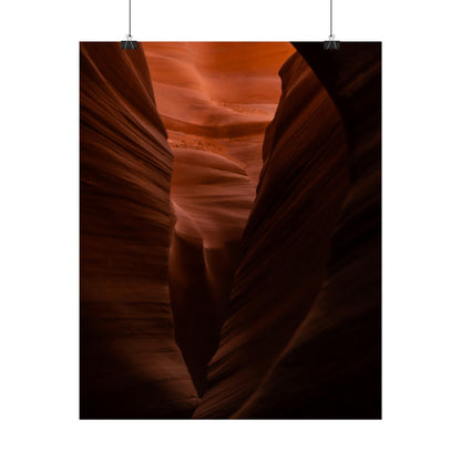 Antelope 02 - Rolled Poster