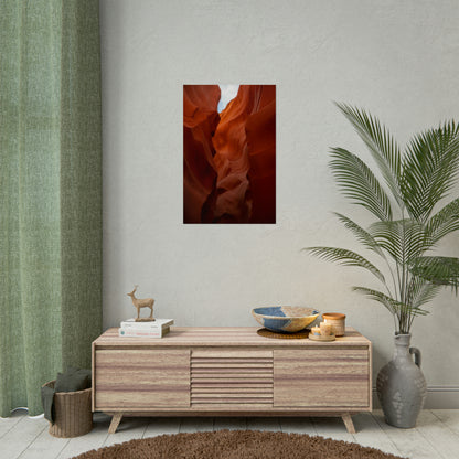 Antelope 07 - Rolled Poster