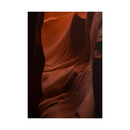 Antelope 01 - Rolled Poster