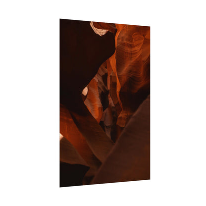 Antelope 05 - Rolled Poster