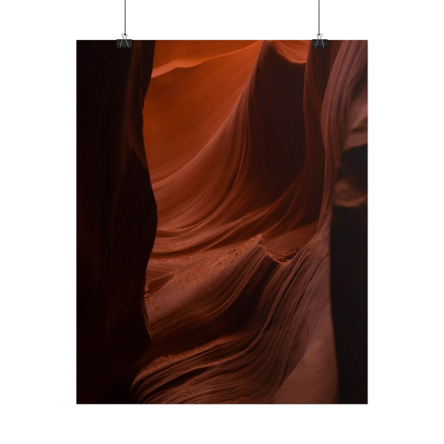 Antelope 01 - Rolled Poster