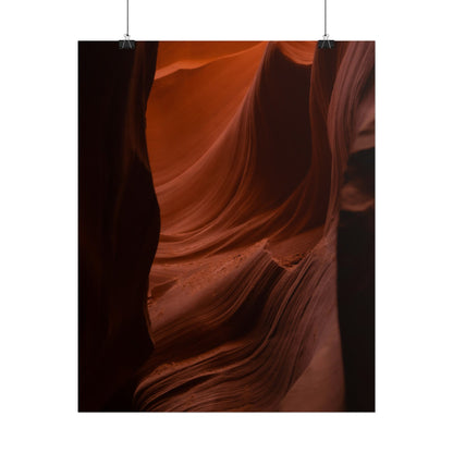 Antelope 01 - Rolled Poster