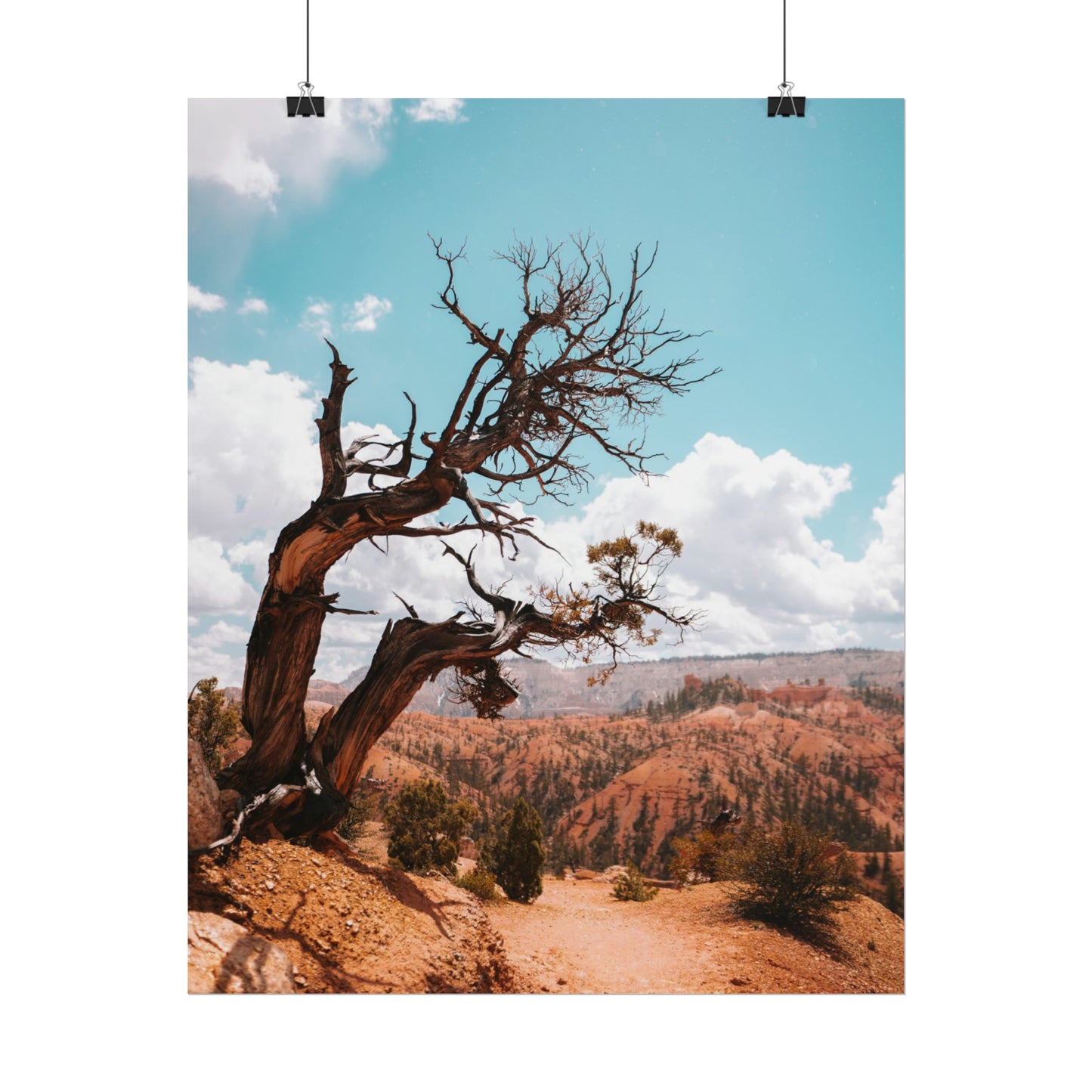 Bryce Canyon 02 - Rolled Poster