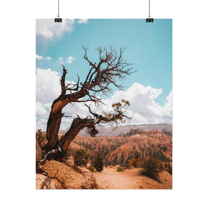Bryce Canyon 02 - Rolled Poster