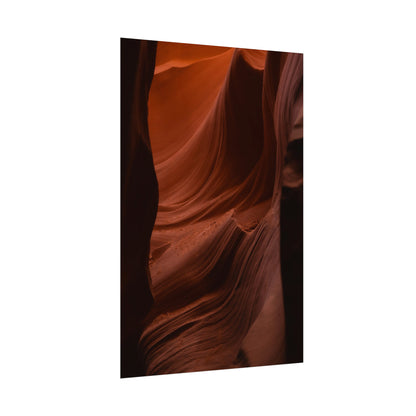 Antelope 01 - Rolled Poster