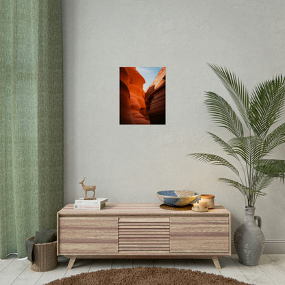 Antelope 06 - Rolled Poster
