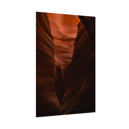 Antelope 02 - Rolled Poster