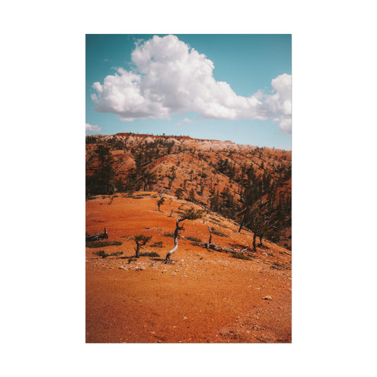 Bryce Canyon 01 - Rolled Poster