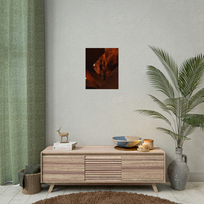 Antelope 05 - Rolled Poster