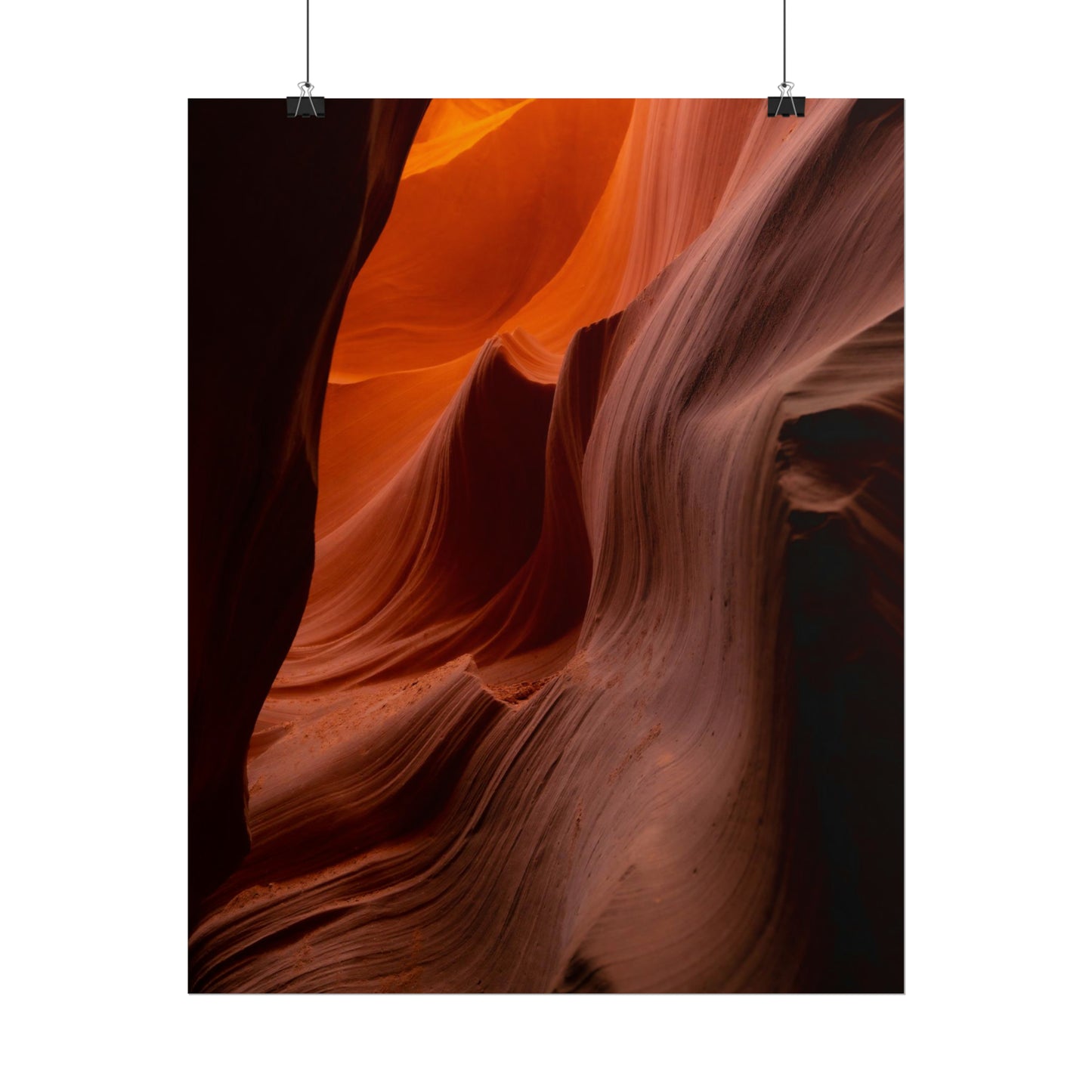 Antelope 04 - Rolled Poster