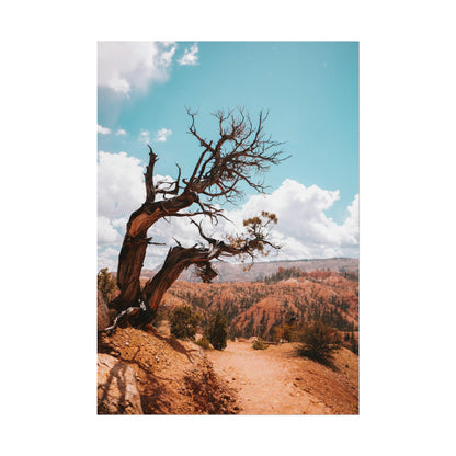Bryce Canyon 02 - Rolled Poster