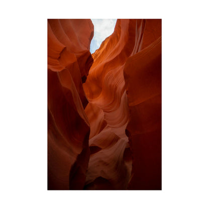 Antelope 07 - Rolled Poster