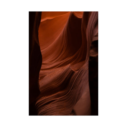 Antelope 01 - Rolled Poster
