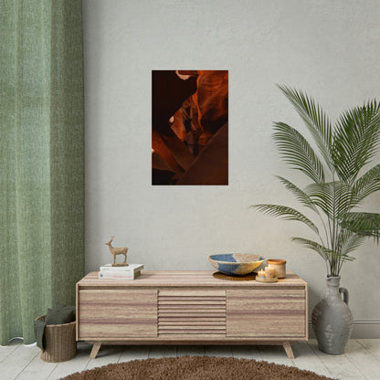 Antelope 05 - Rolled Poster