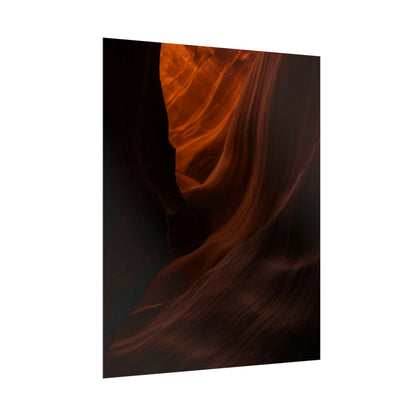 Antelope 03 - Rolled Poster
