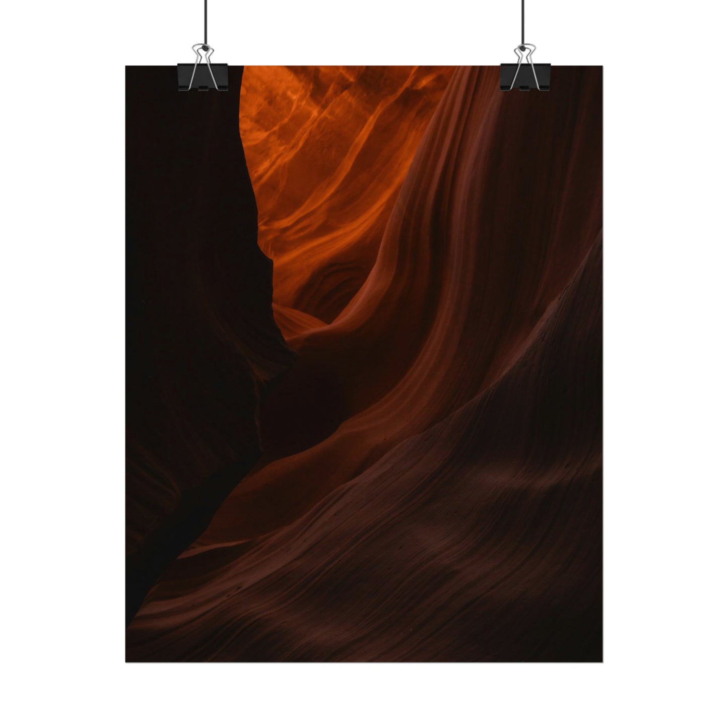 Antelope 03 - Rolled Poster