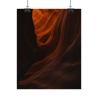 Antelope 03 - Rolled Poster