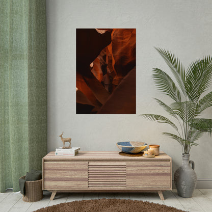 Antelope 05 - Rolled Poster