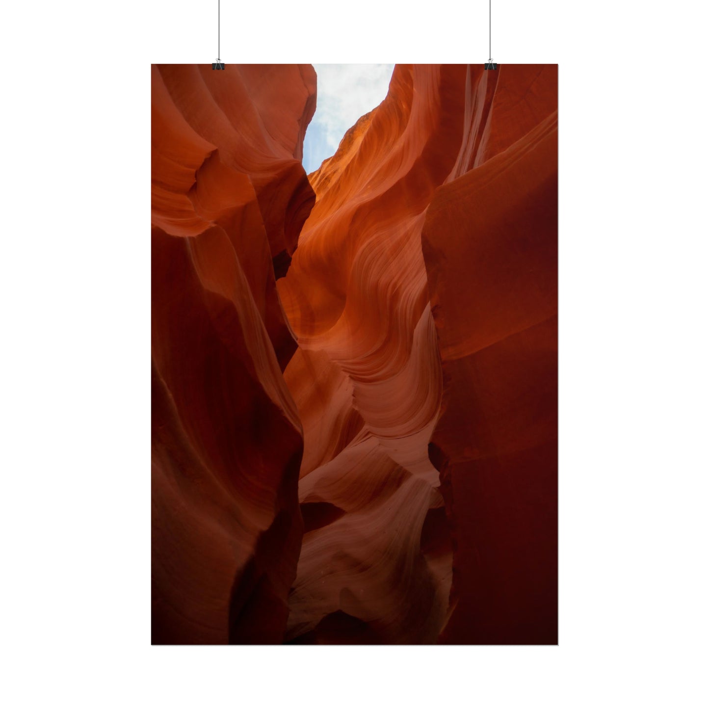 Antelope 07 - Rolled Poster