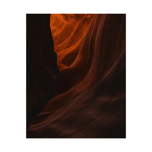 Antelope 03 - Rolled Poster