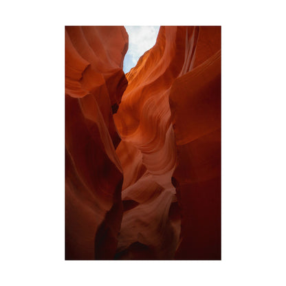 Antelope 07 - Rolled Poster