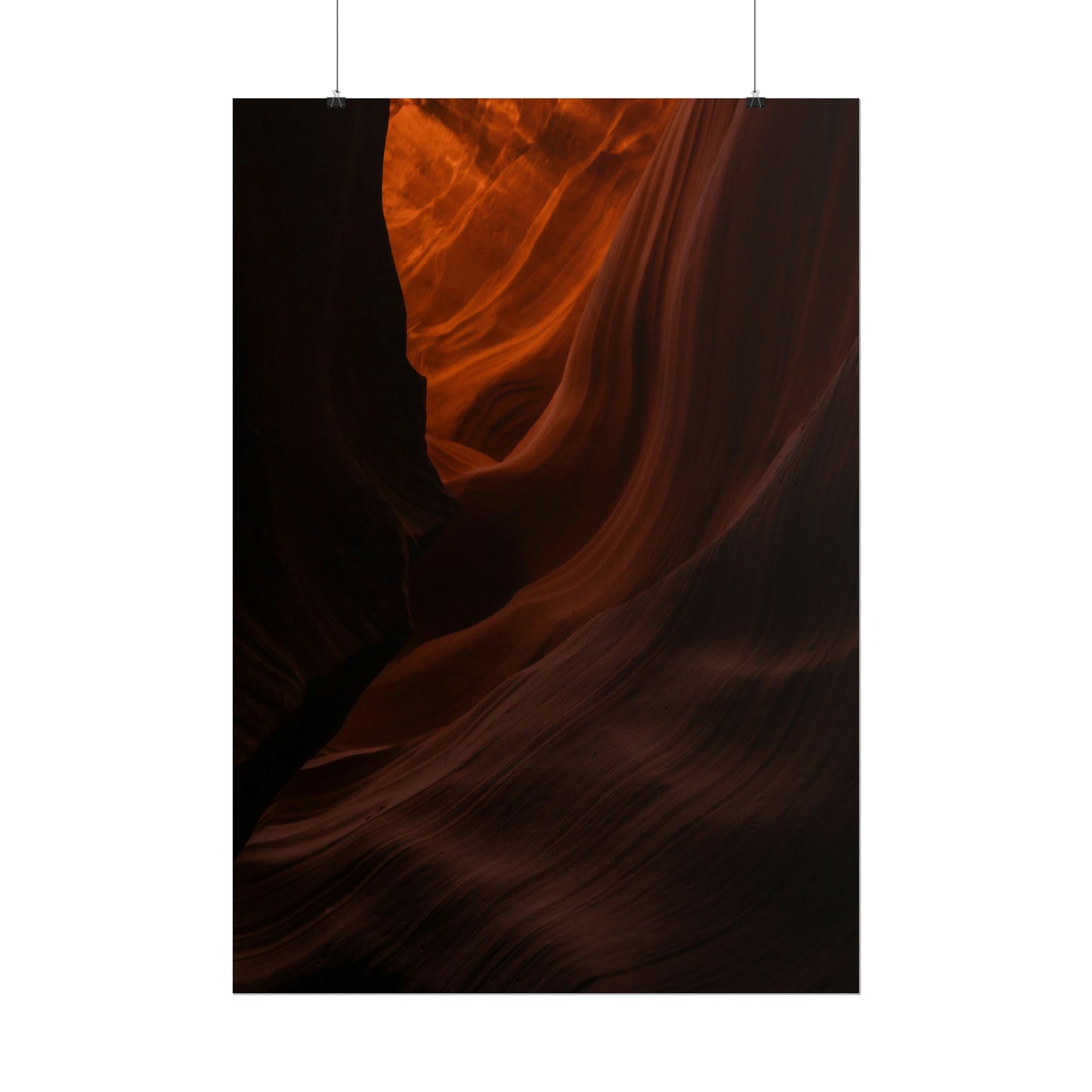 Antelope 03 - Rolled Poster