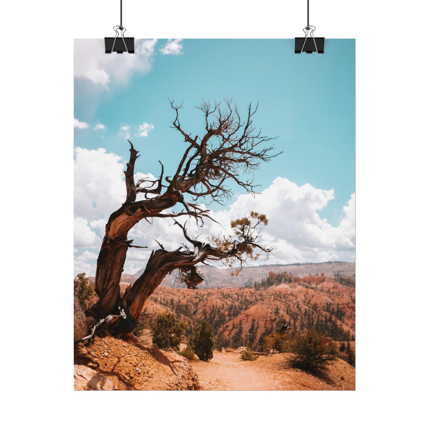 Bryce Canyon 02 - Rolled Poster